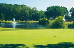 Executive Golf Course
